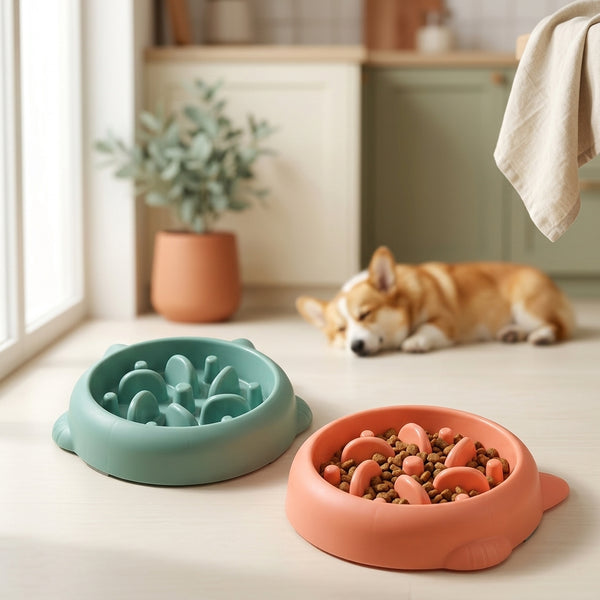 Ciotola Slow Feeder per Cani e Gatti Antiscivolo