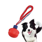 Pallina interattiva per cani con corda, foto 6