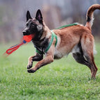 Pallina interattiva per cani con corda, foto 7
