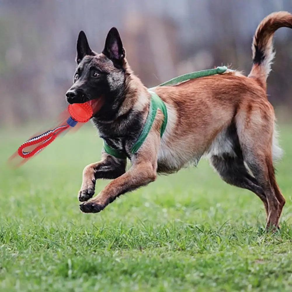 Pallina interattiva per cani con corda, foto 7