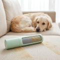 Spazzola rimuovi peli 2 in 1 verde menta su divano beige con cane golden retriever